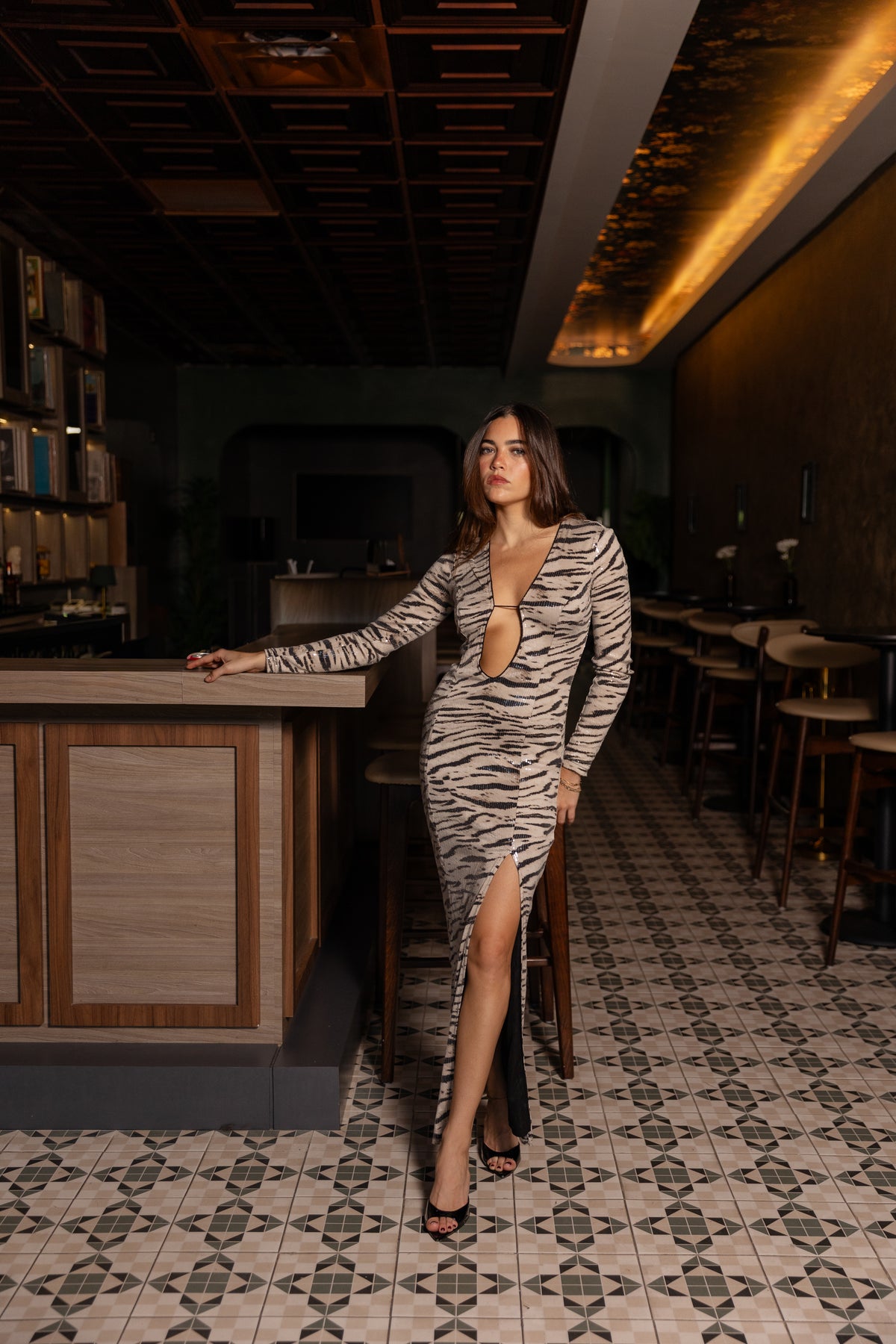 Zebra Print Stretch Sequin Maxi Dress
