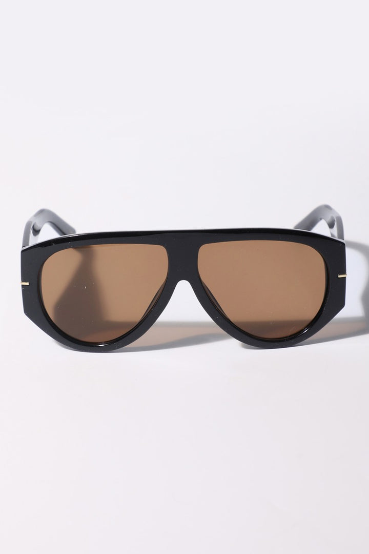 Tinted Aviator Sunglasses
