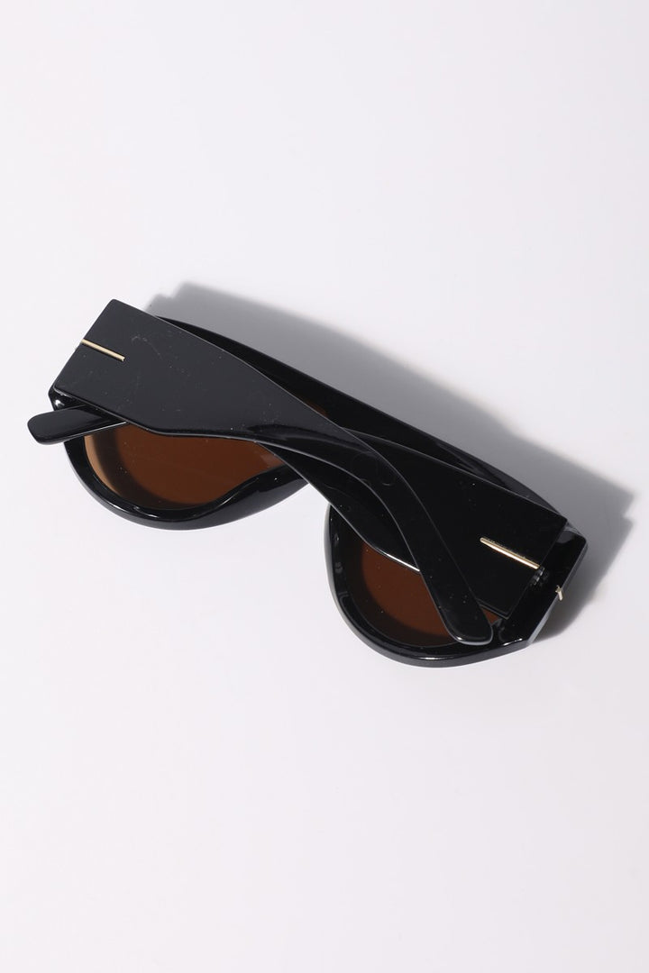 Tinted Aviator Sunglasses