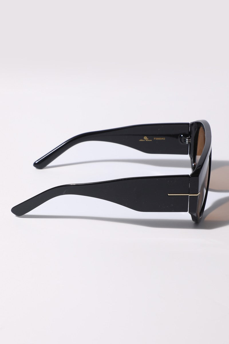 Tinted Aviator Sunglasses