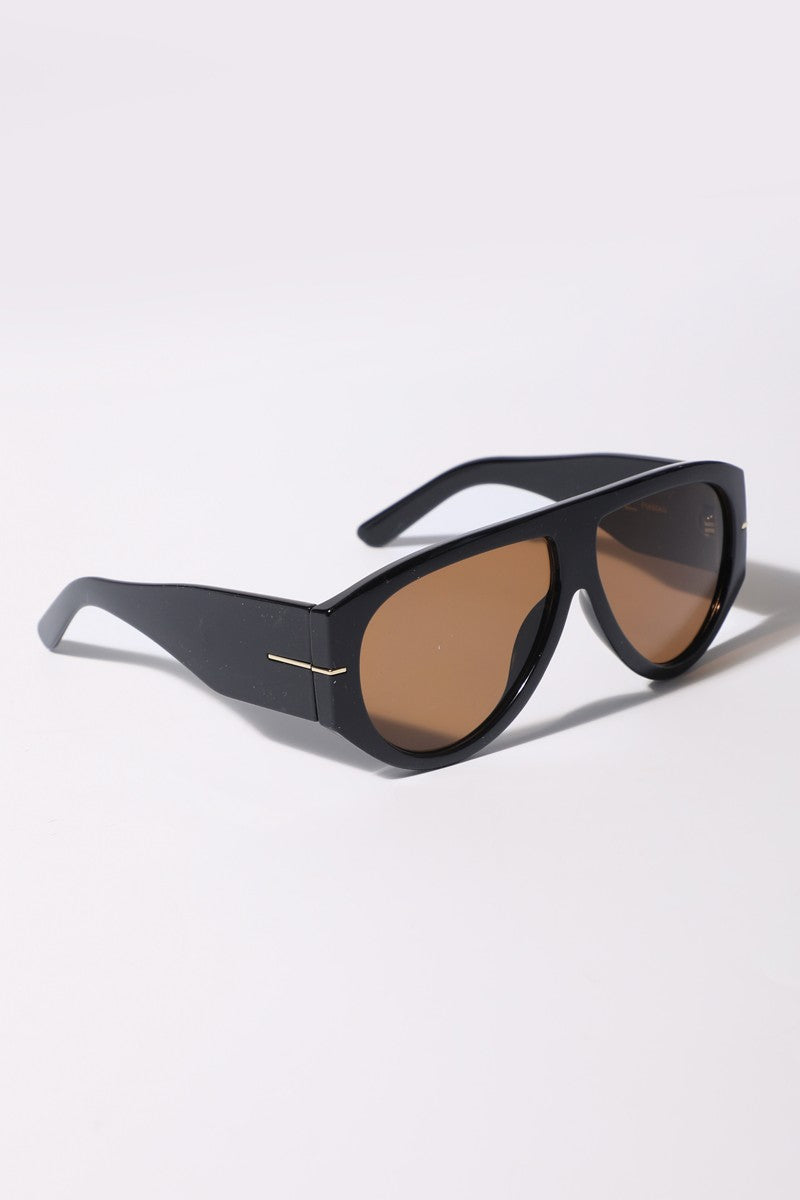 Tinted Aviator Sunglasses