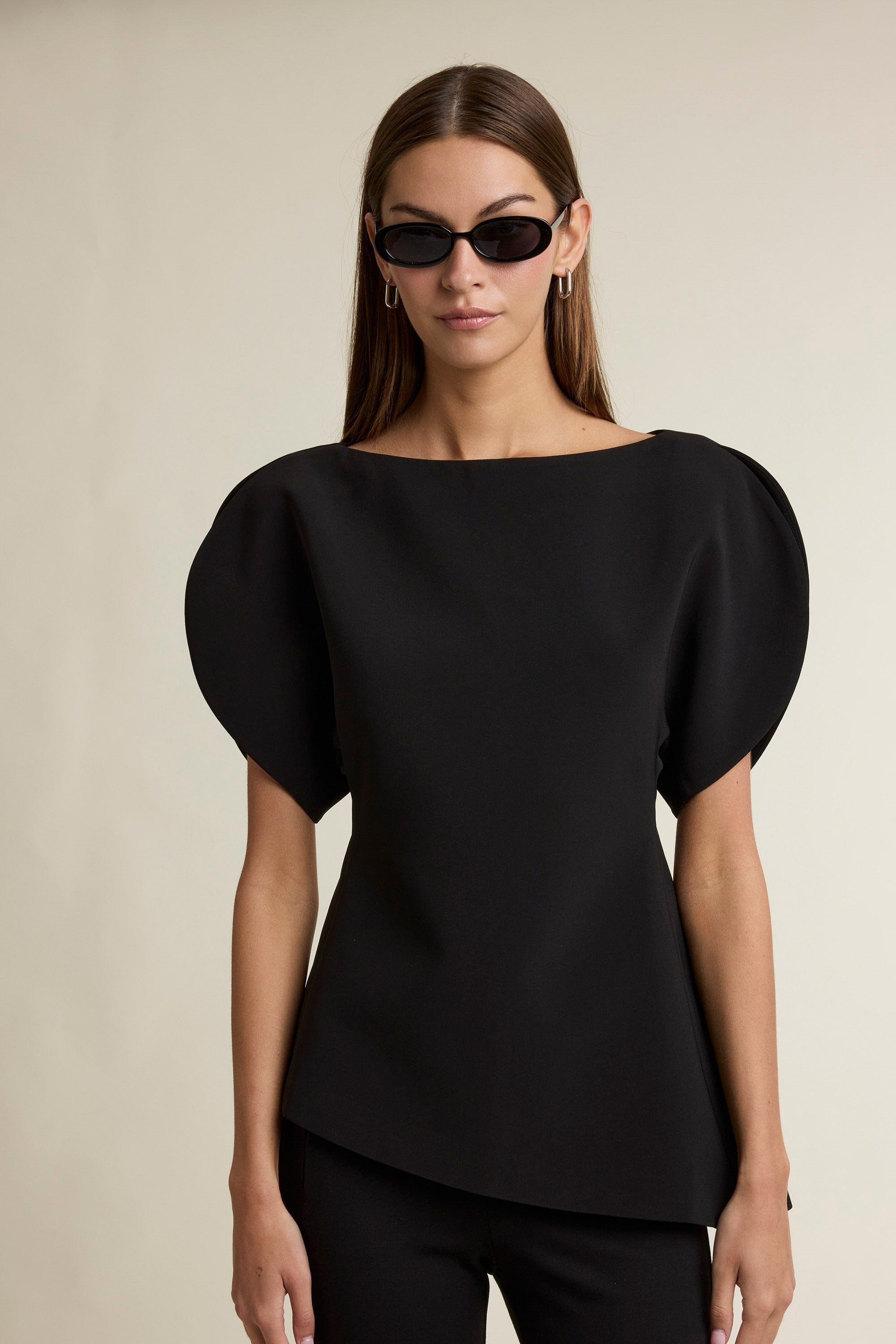 Balloon Sleeves Top