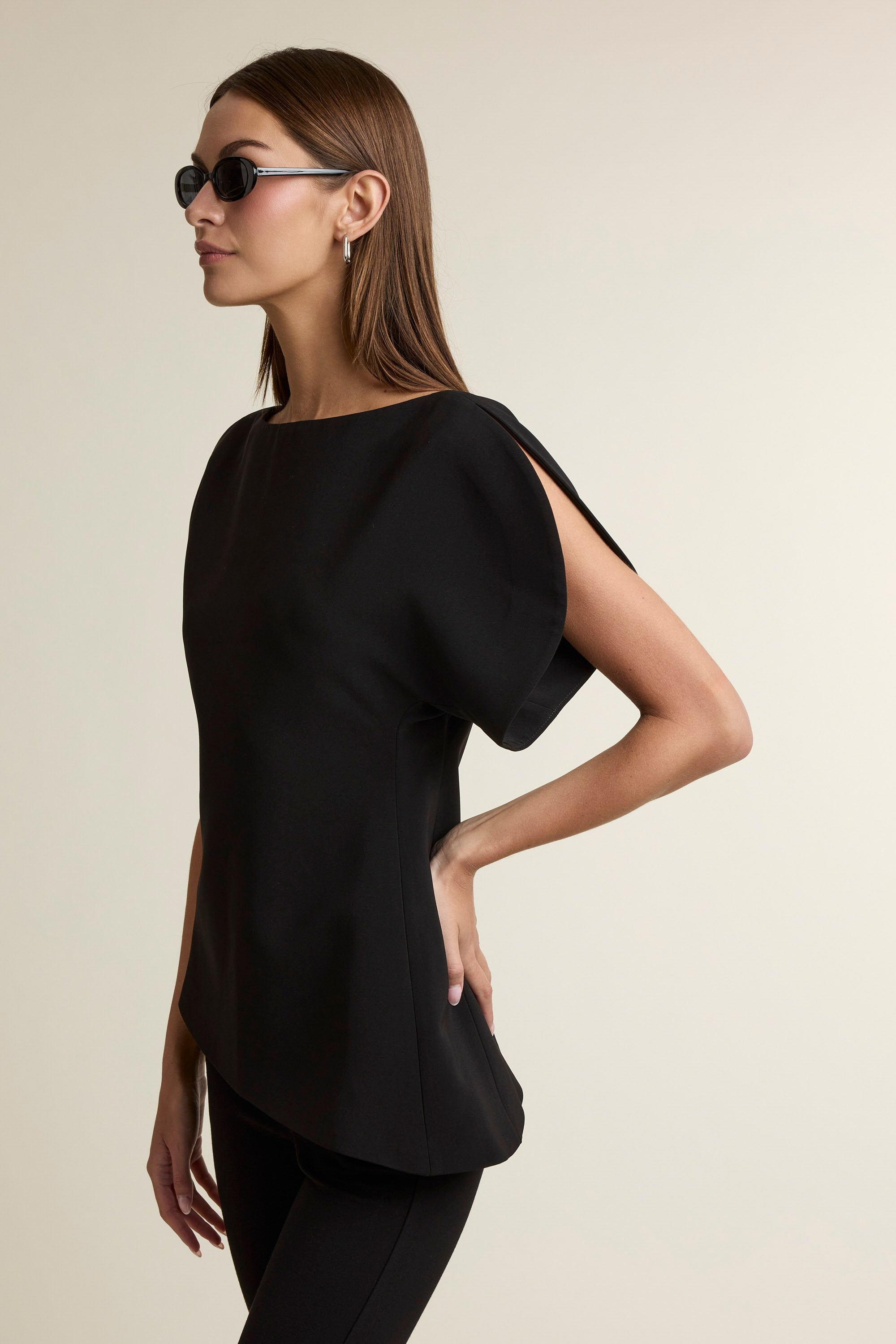 Balloon Sleeves Top