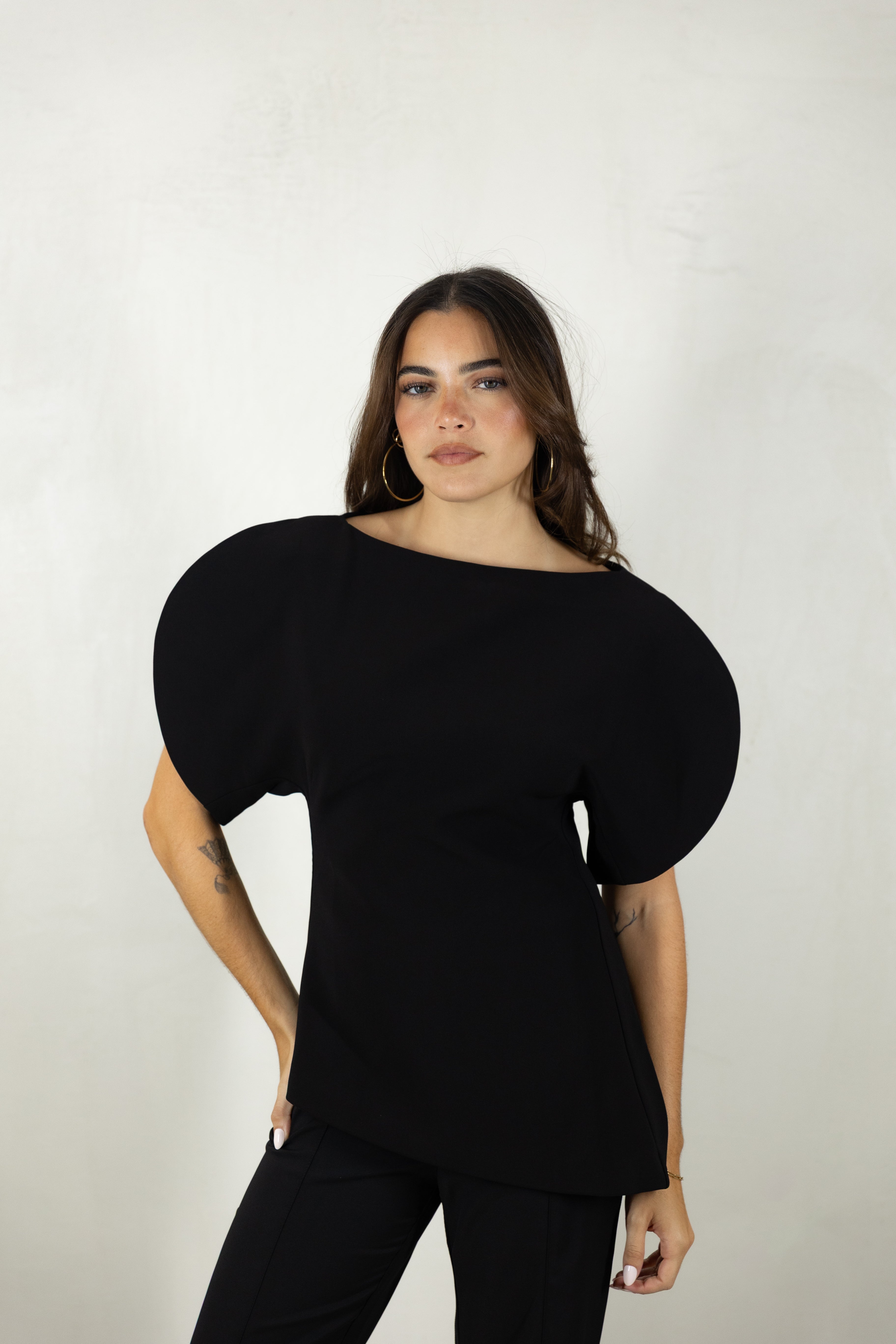Balloon Sleeves Top
